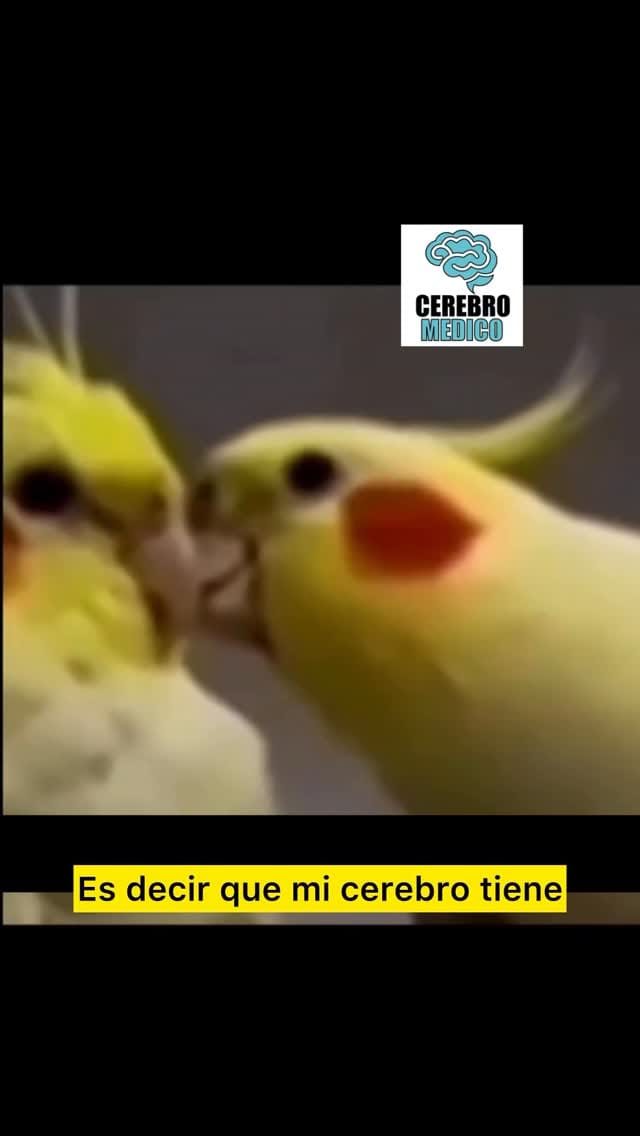 Post 3 by Dr. Hugo Daniel Parrales Lopez on Instagram (video)