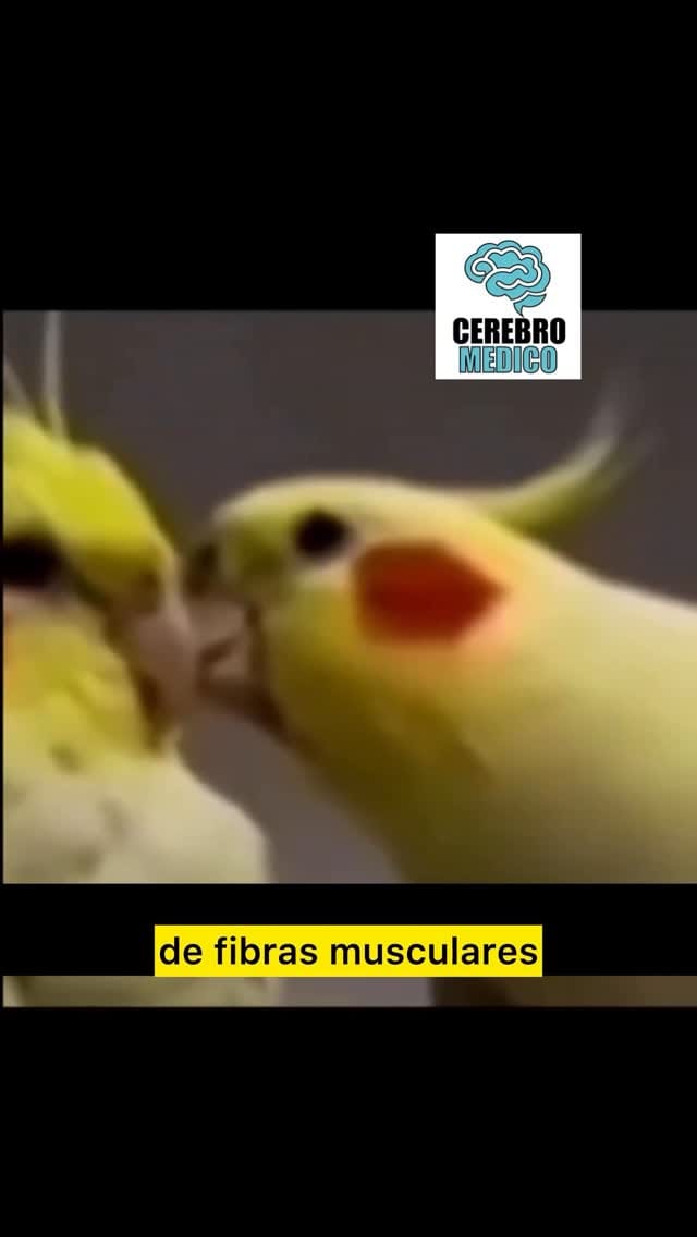 Post 4 by Dr. Hugo Daniel Parrales Lopez on Instagram (video)