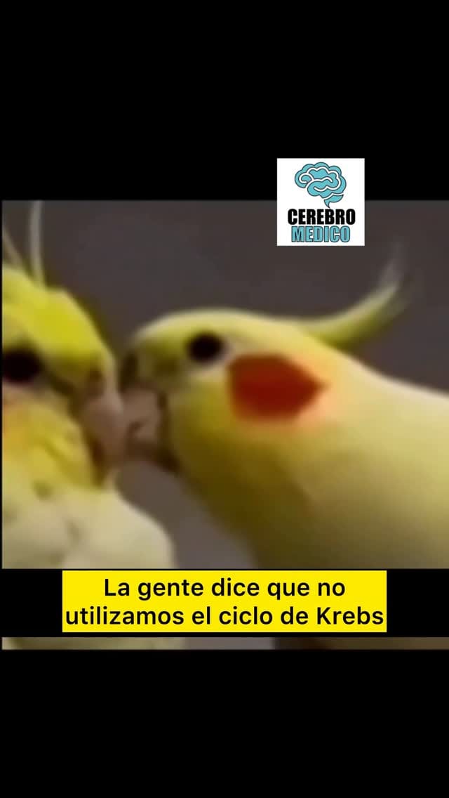 Post 5 by Dr. Hugo Daniel Parrales Lopez on Instagram (video)