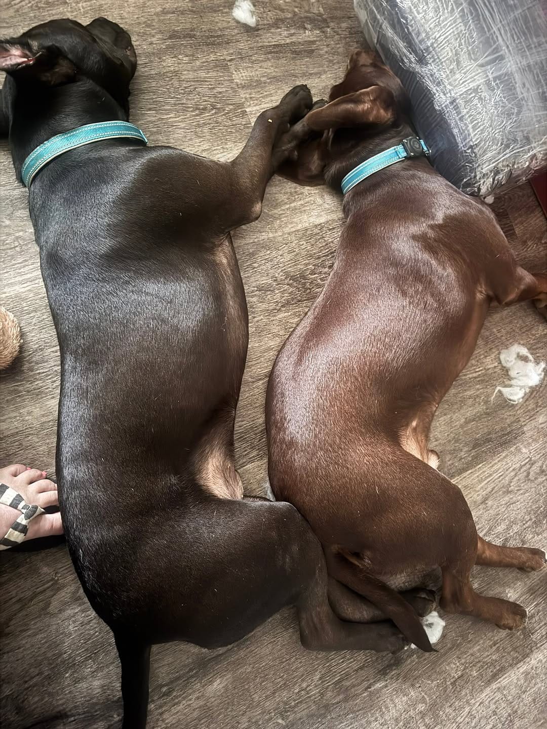 Post 4 by Jaimee Phelps on Instagram (carousel)