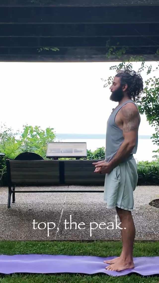 Post 5 by Dean Michael Fazzolari on Instagram (video)