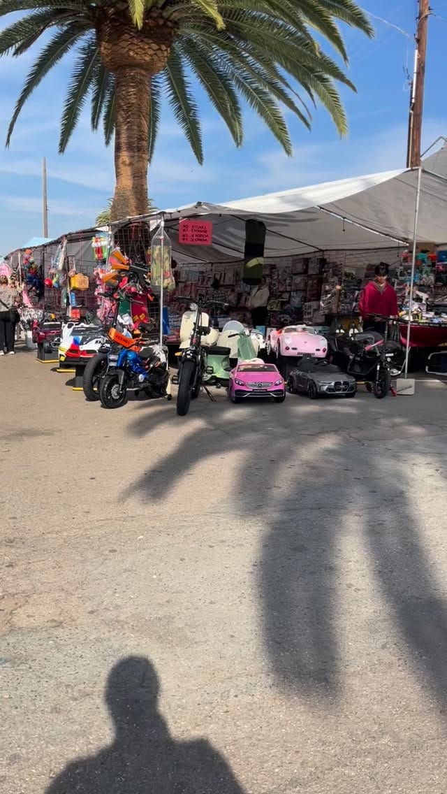 Post 4 by Bashar Abtini on Instagram (video)