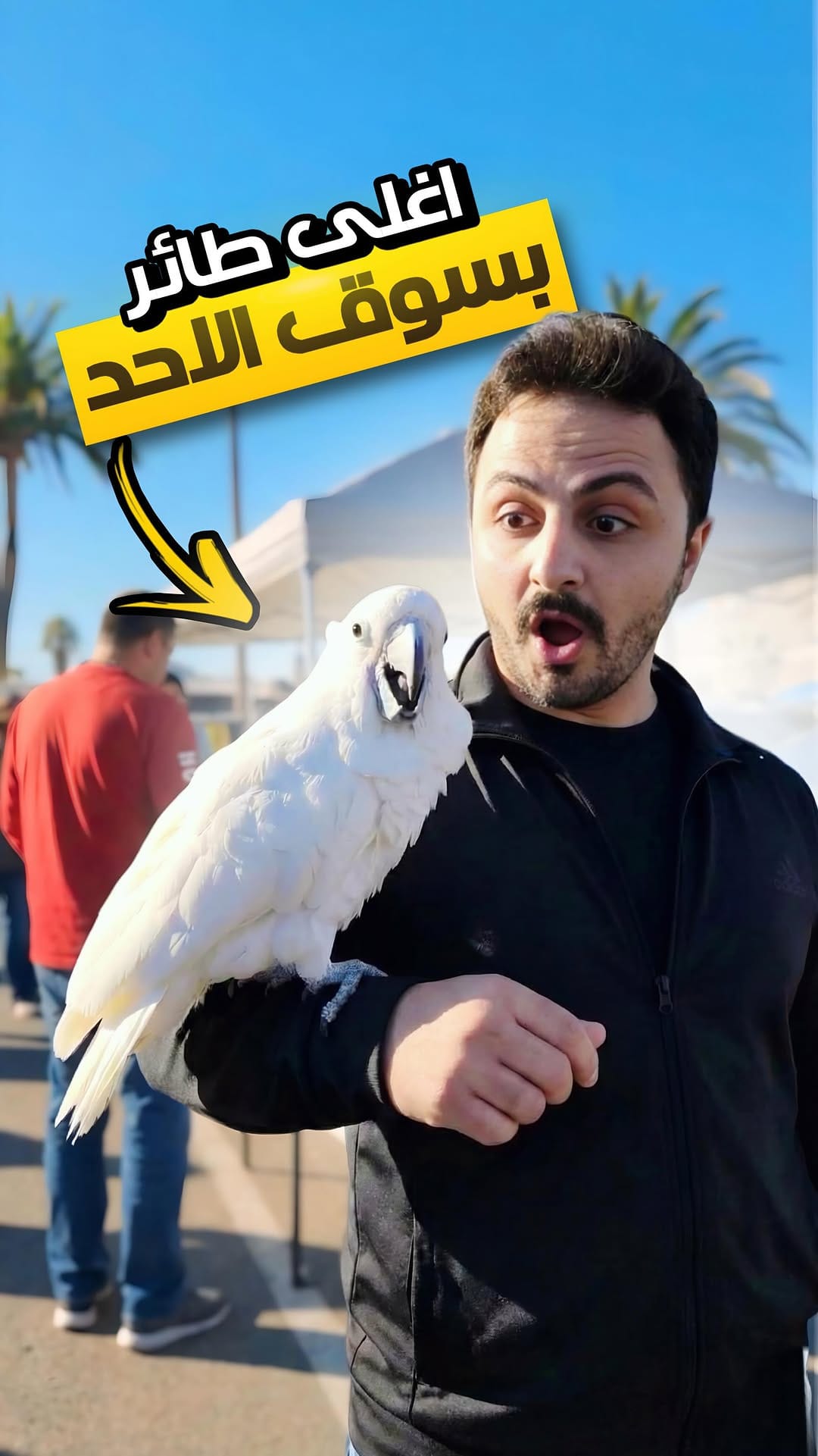 Post 6 by Bashar Abtini on Instagram (video)