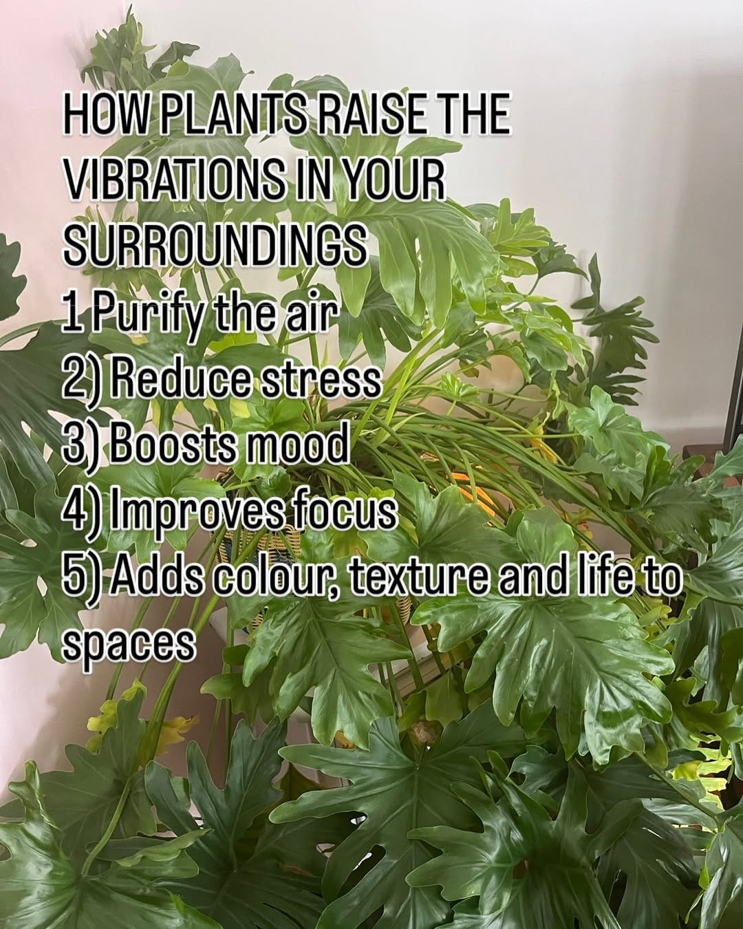 Post 4 by Adell Stratton • Holistic Specialist on Instagram (image)