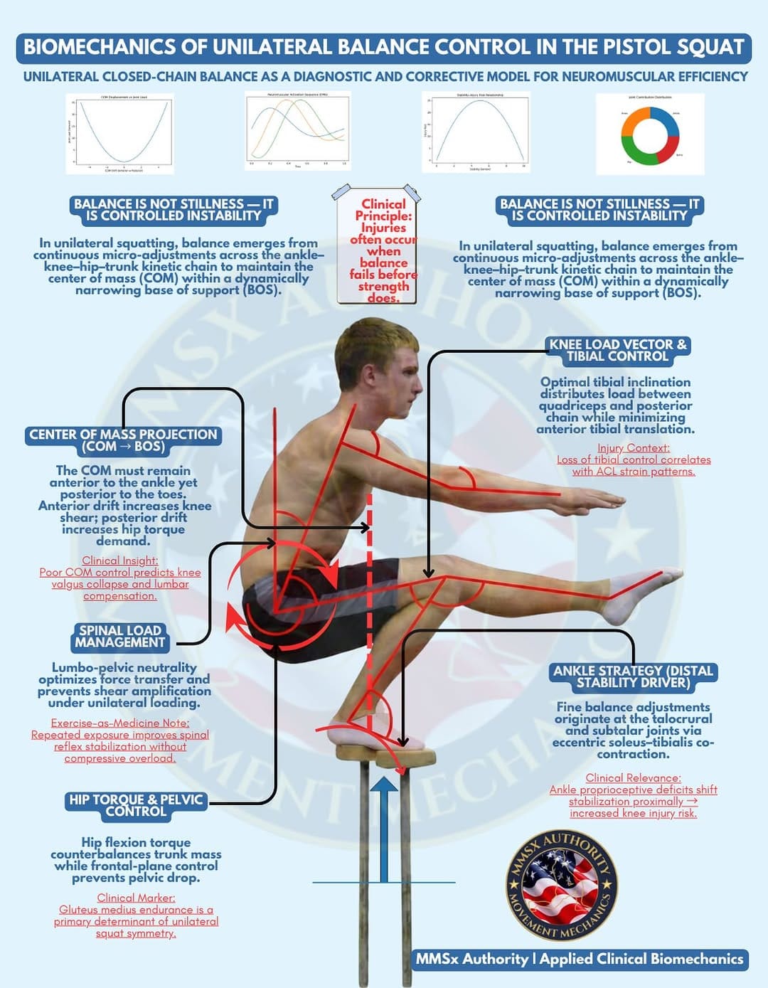 Post 3 by BIOMECHANICS | POSTURE | MOBILITY on Instagram (image)