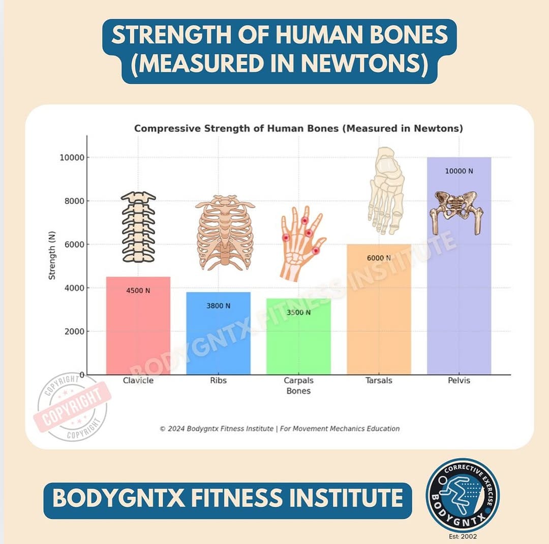 Post 10 by BIOMECHANICS | POSTURE | MOBILITY on Instagram (image)