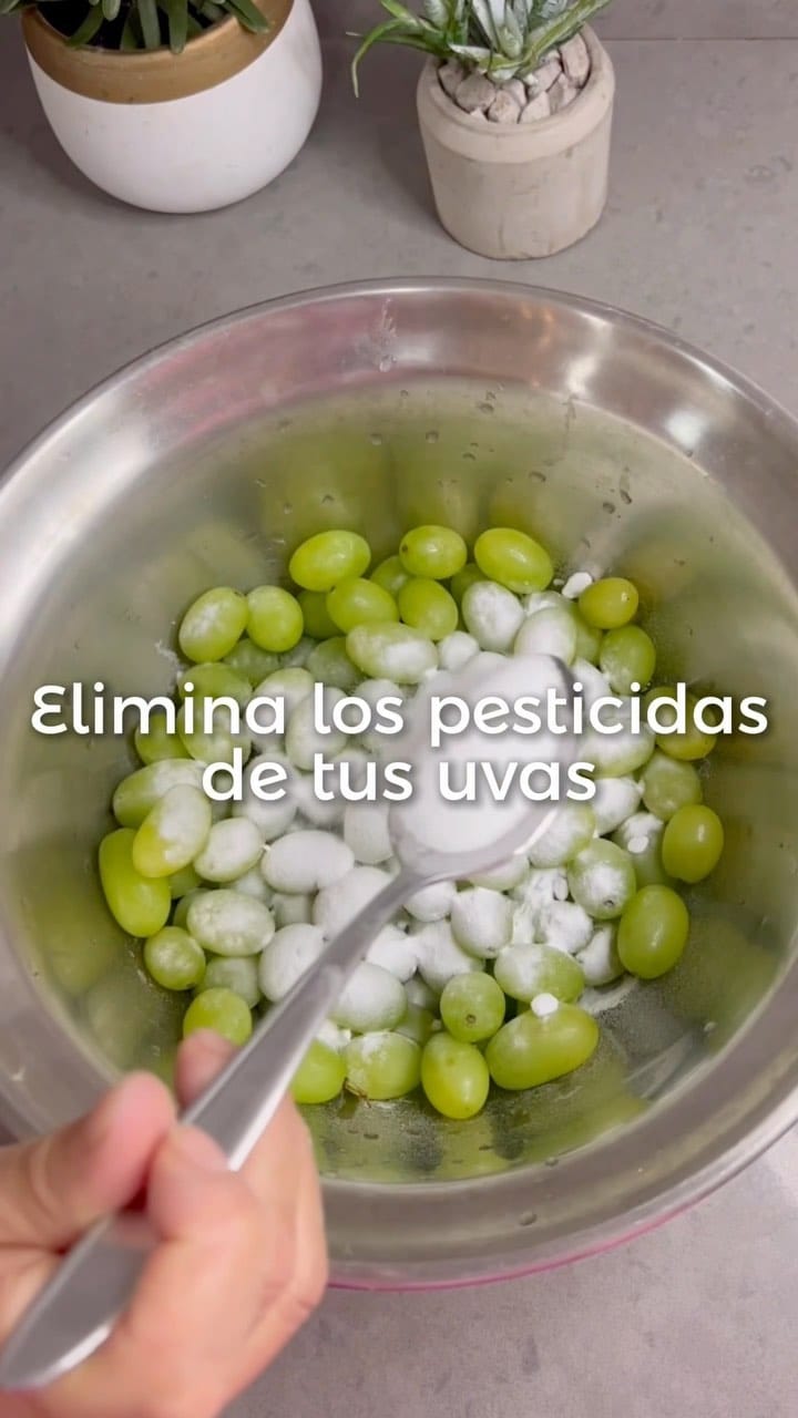 Post 9 by DENISE | ɴᴜᴛʀɪᴄɪᴏɴ ᴄᴏɴsᴄɪᴇɴᴛᴇ on Instagram (video)