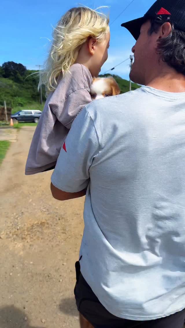Post 5 by Andrea Hannemann on Instagram (video)