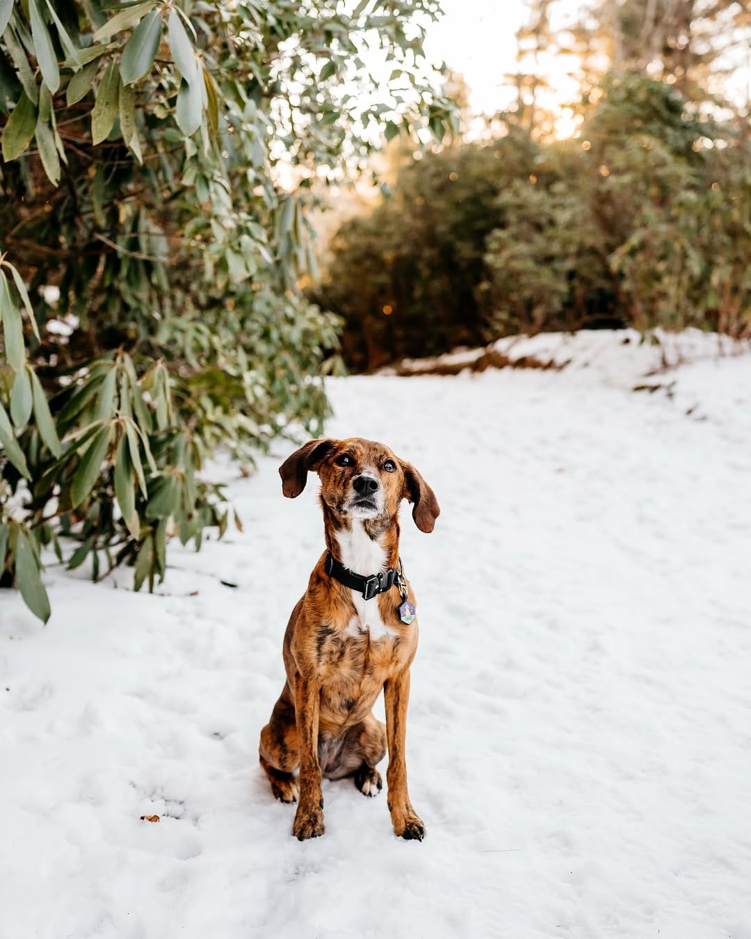 Post 4 by Tahoe + Marissa on Instagram (image)