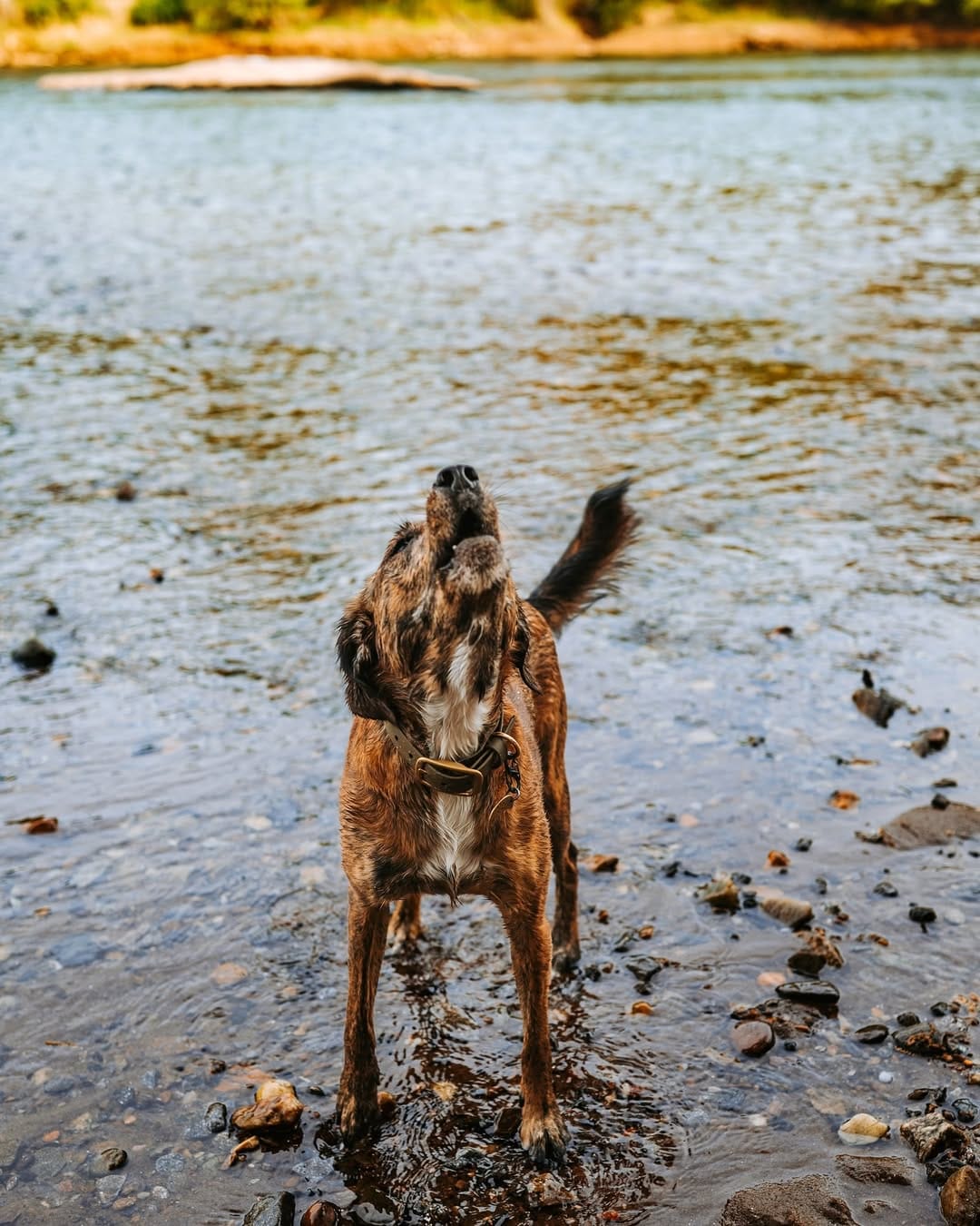 Post 9 by Tahoe + Marissa on Instagram (image)