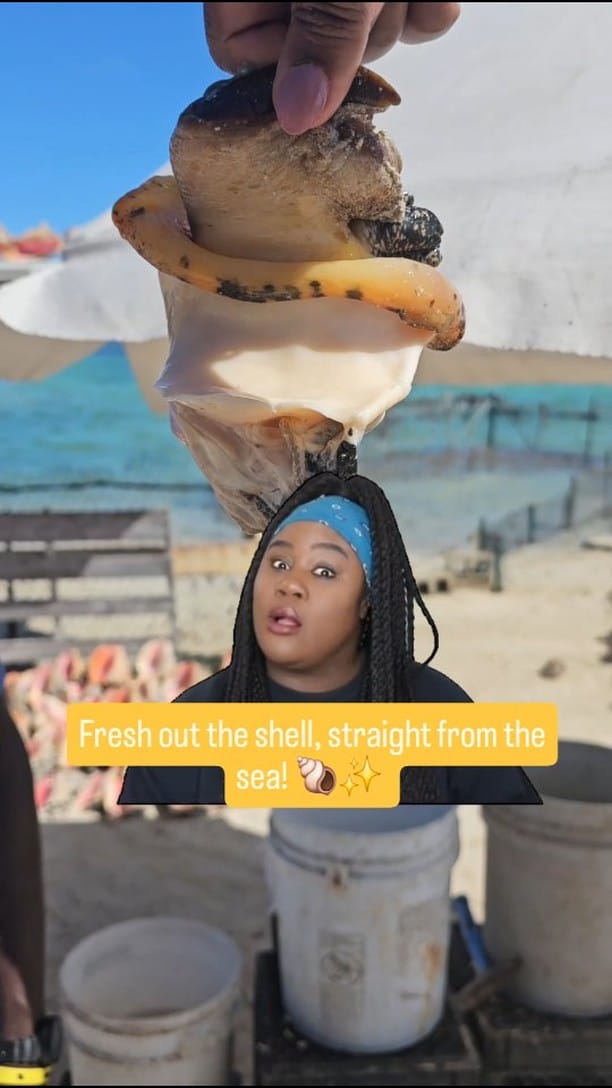 Post 5 by KiKi & D 🥙🍹🧳 FOOD & TRAVEL on Instagram (video)