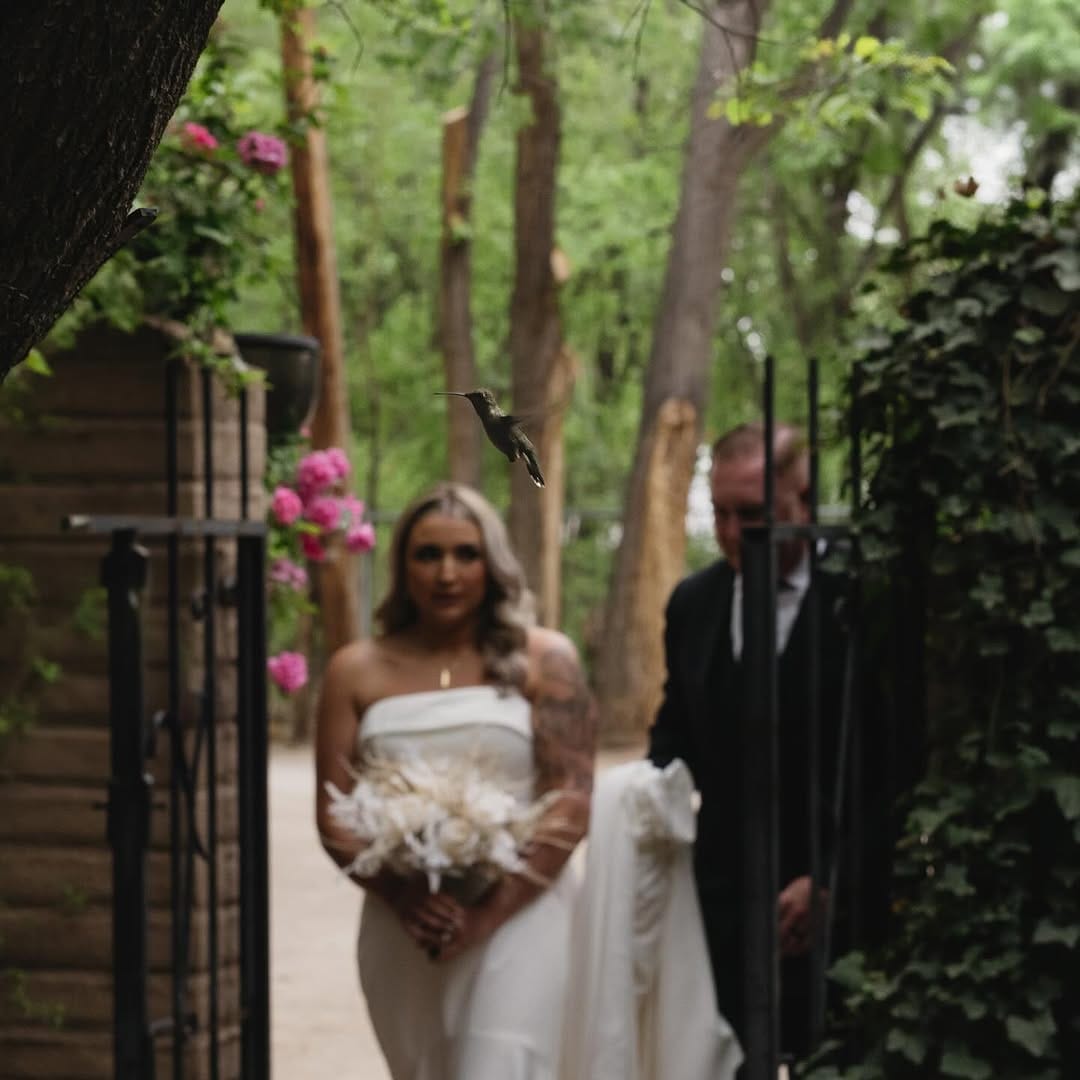 Post 1 by Dominique Allen ~ New Mexico & Destination Photographer on Instagram (image)