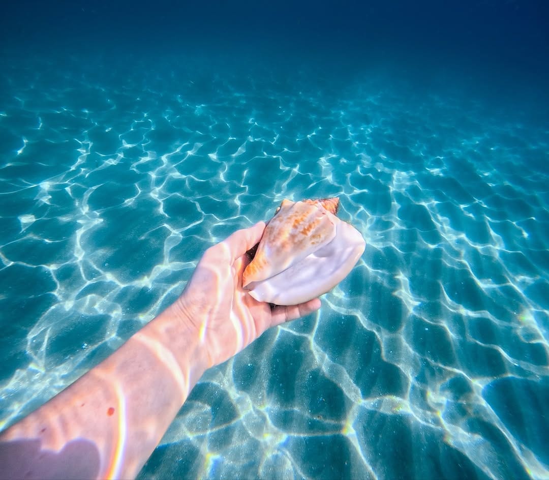 Post 9 by EM | TRAVEL & ADVENTURE 🤿🧳🐢 on Instagram (carousel)