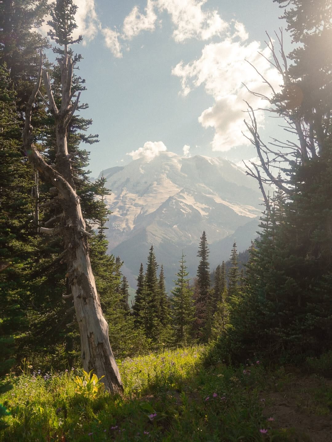 Post 10 by Joey 🌿🌞 on Instagram (image)