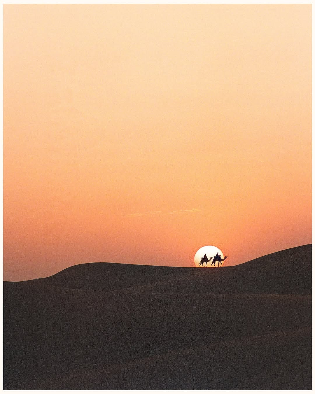 Post 8 by 🎞️ Erik Poppen on Instagram (image)