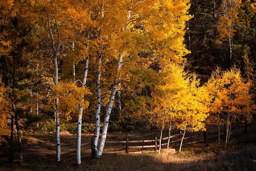 Post 2 by Rowdy Winters Photography on Instagram (image)