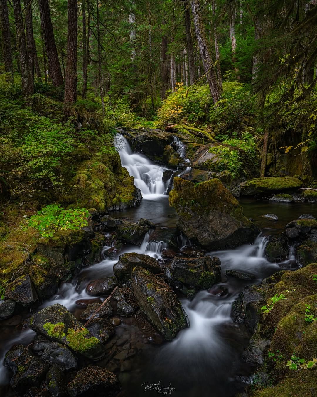 Post 4 by Chris Clark | PhotographyInFocus on Instagram (carousel)