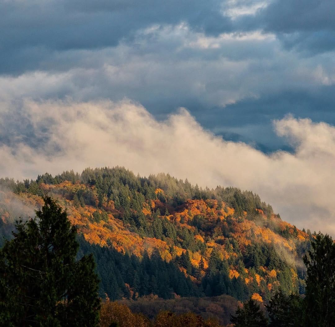 Post 1 by Tracie Howe on Instagram (image)