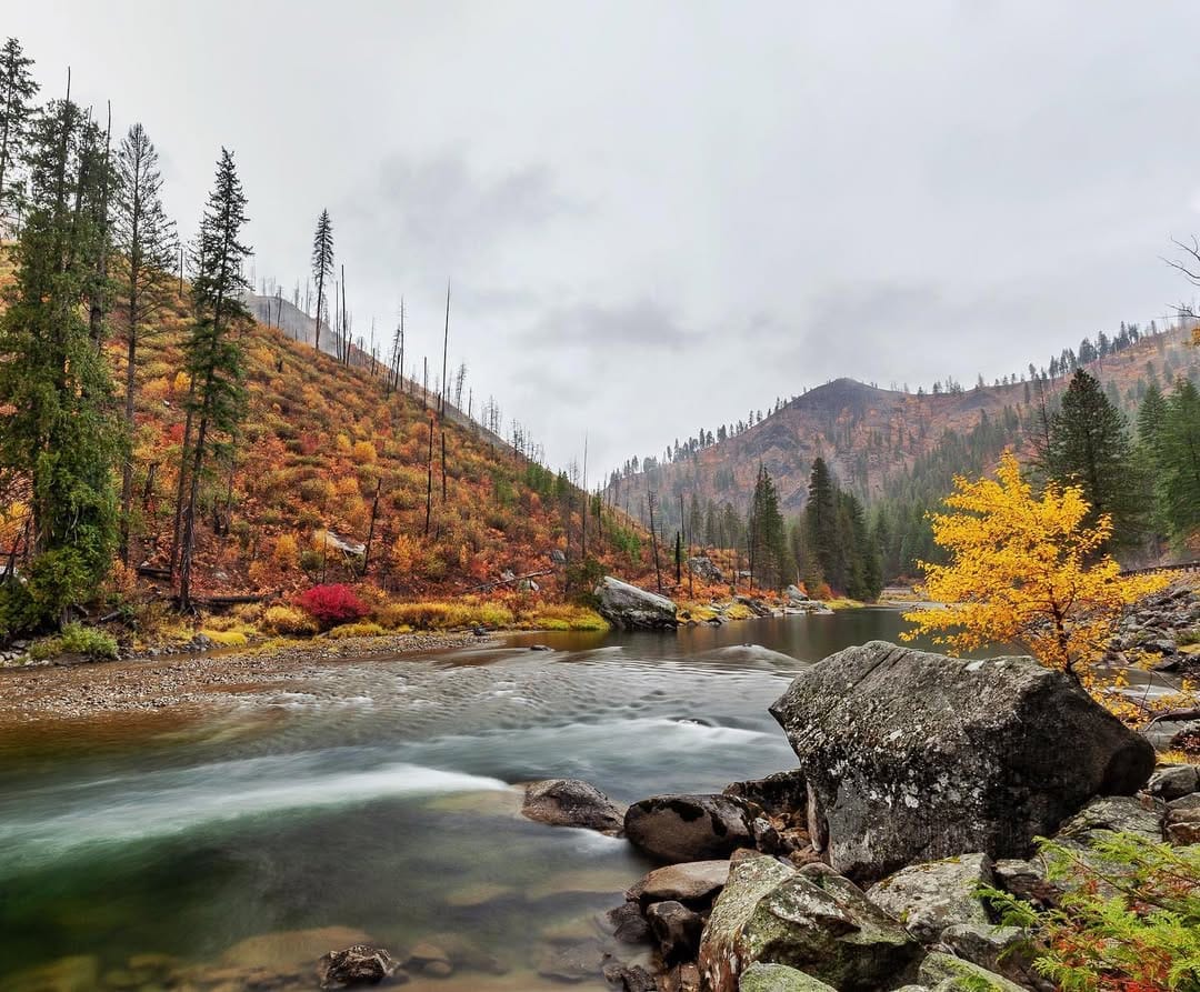 Post 2 by Tracie Howe on Instagram (image)