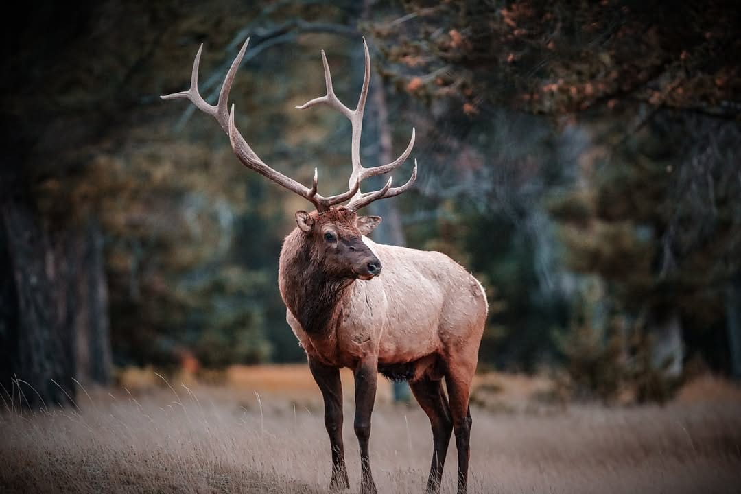 Post 2 by Charles White on Instagram (image)