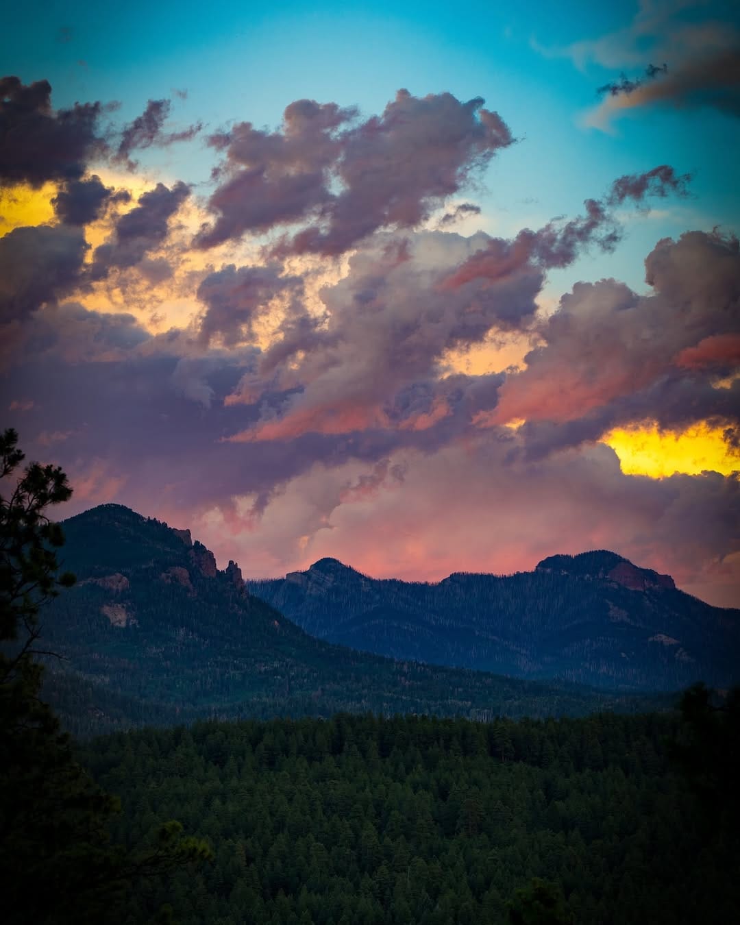 Post 7 by Charles White on Instagram (image)