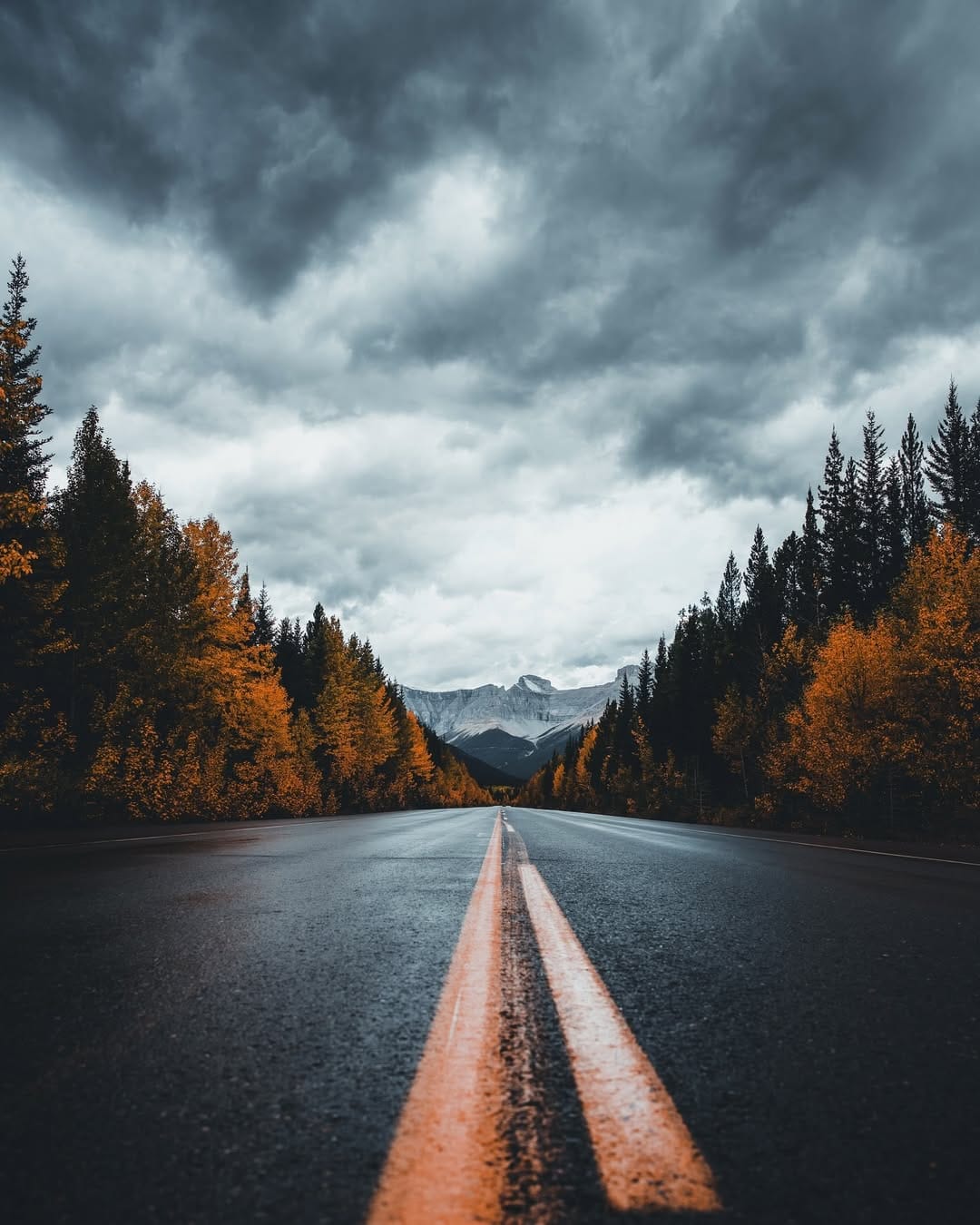 Post 3 by Charles White on Instagram (image)
