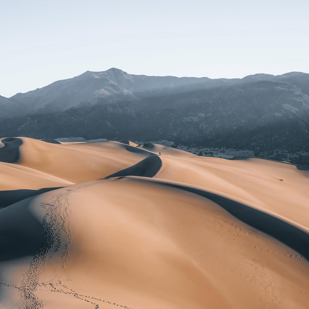 Post 9 by Charles White on Instagram (image)