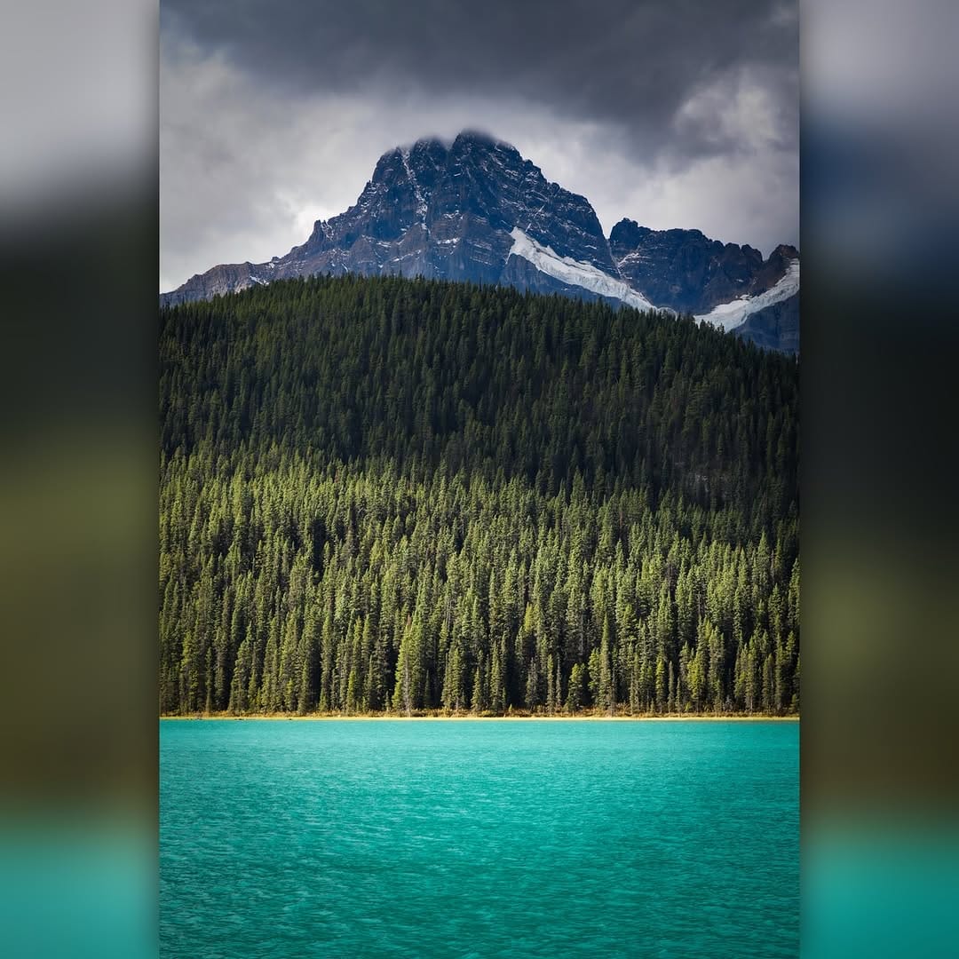 Post 1 by Charles White on Instagram (image)