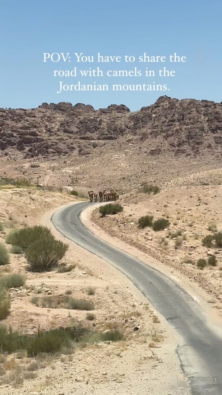 Post 7 by Hiba 🍉// Adventure Travel // Travel Tips on Instagram (video)