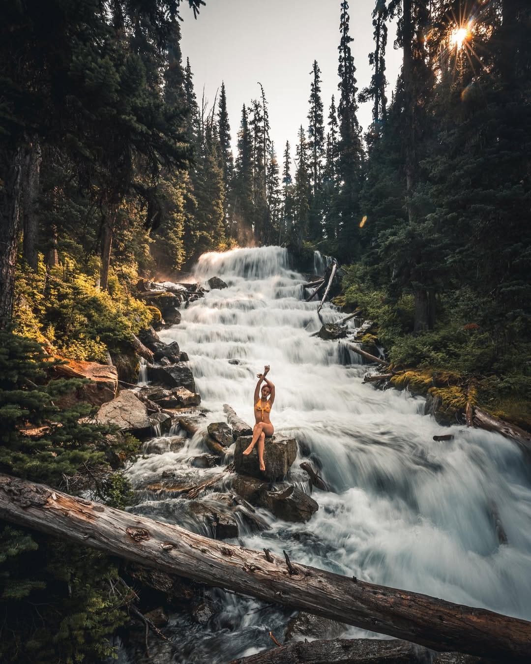 Post 9 by Selina Eshraghi on Instagram (image)