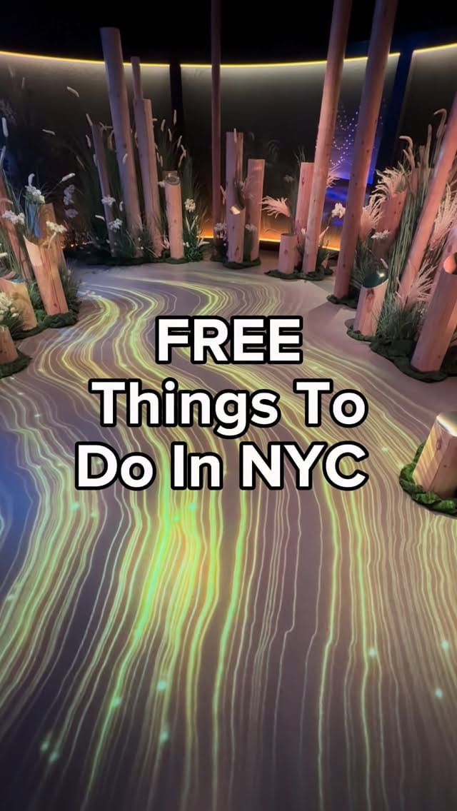 Post 6 by Elizabeth Saldoriga | New York Travel Content Creator on Instagram (video)