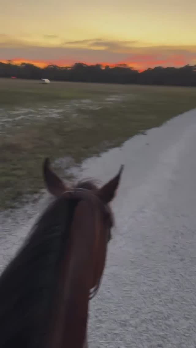 Post 9 by Kareem Qatash on Instagram (video)