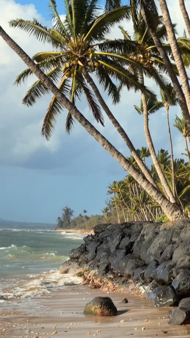 Post 2 by Ronald Williams on Instagram (video)