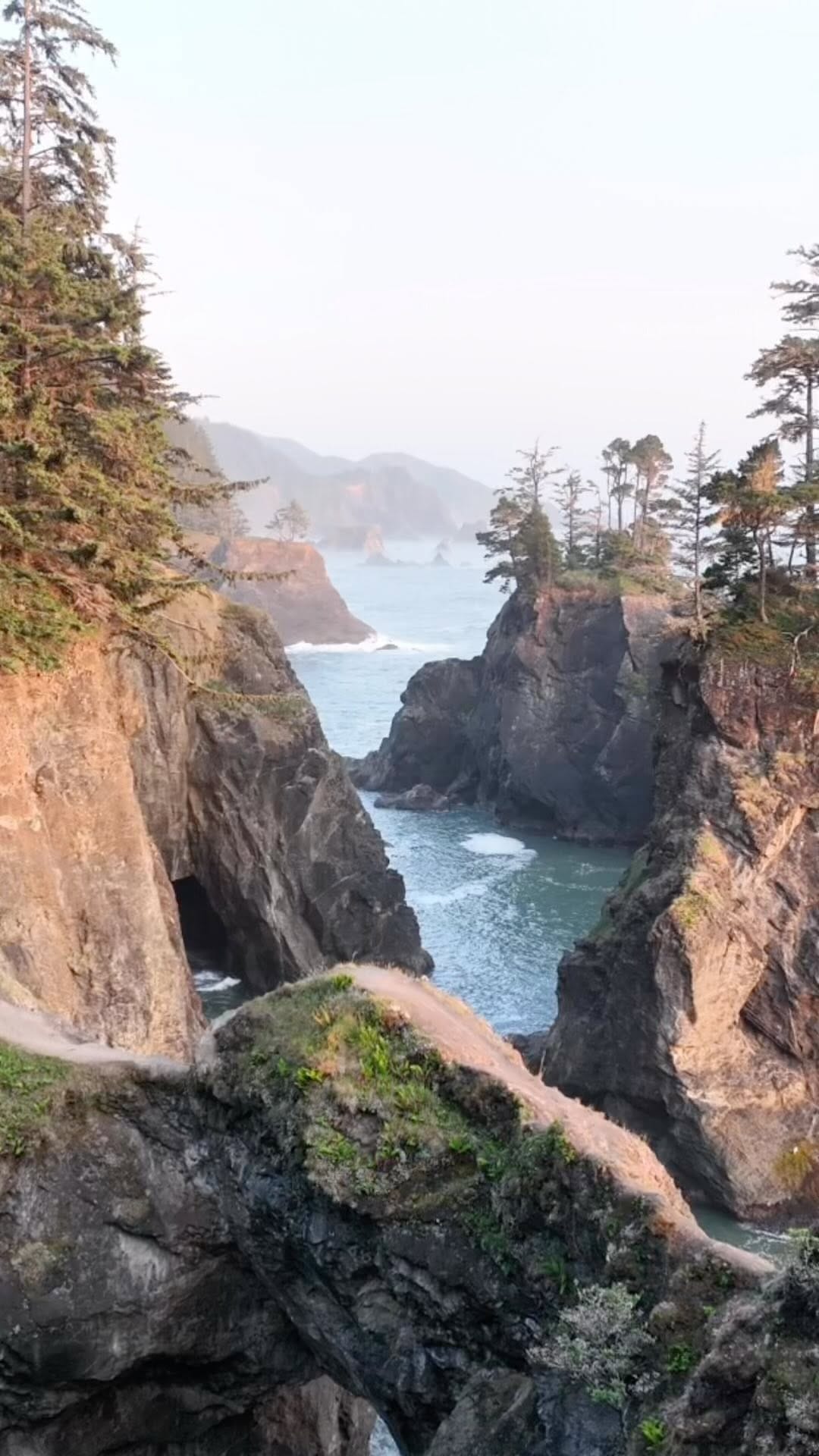 Post 8 by Michael J on Instagram (video)