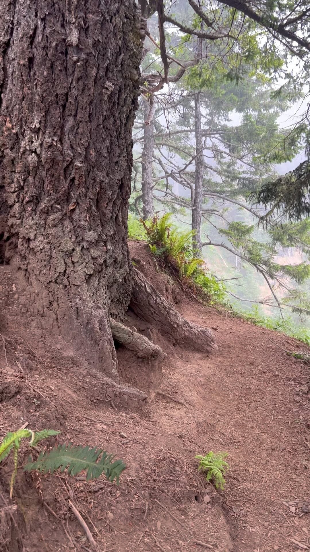 Post 10 by Michael J on Instagram (video)