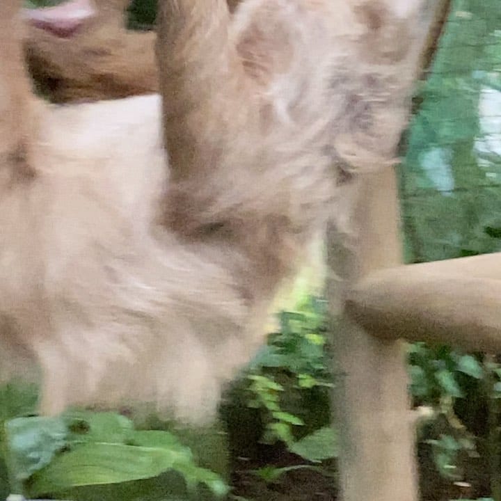 Post 10 by 🌎 Kristine Serine on Instagram (video)