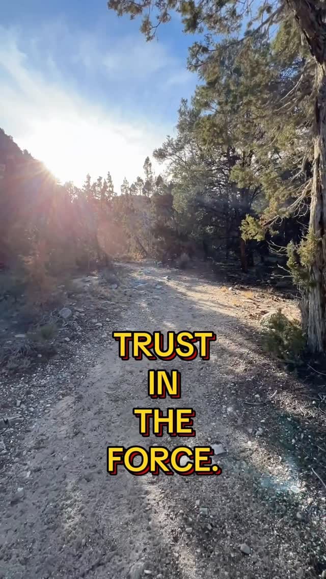 Post 4 by DJ & Rachel on Instagram (video)