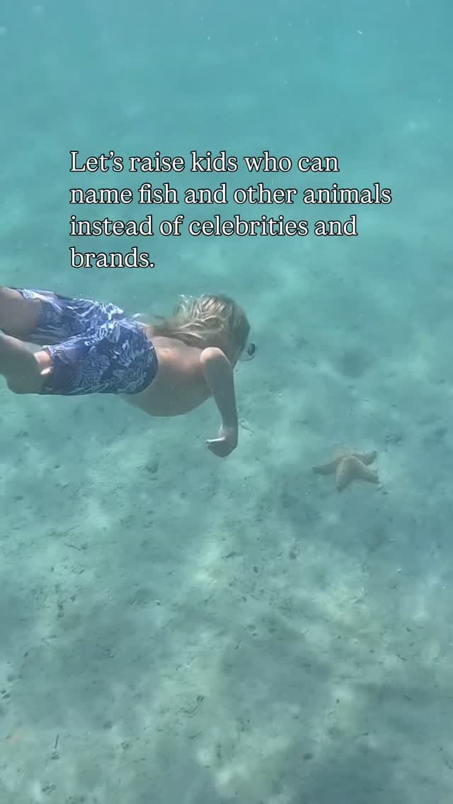 Post 4 by Ocean Bethany 🐬 on Instagram (video)