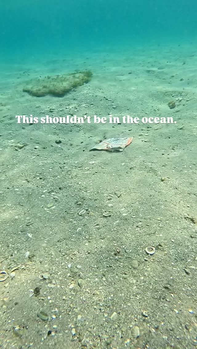 Post 1 by Ocean Bethany 🐬 on Instagram (video)