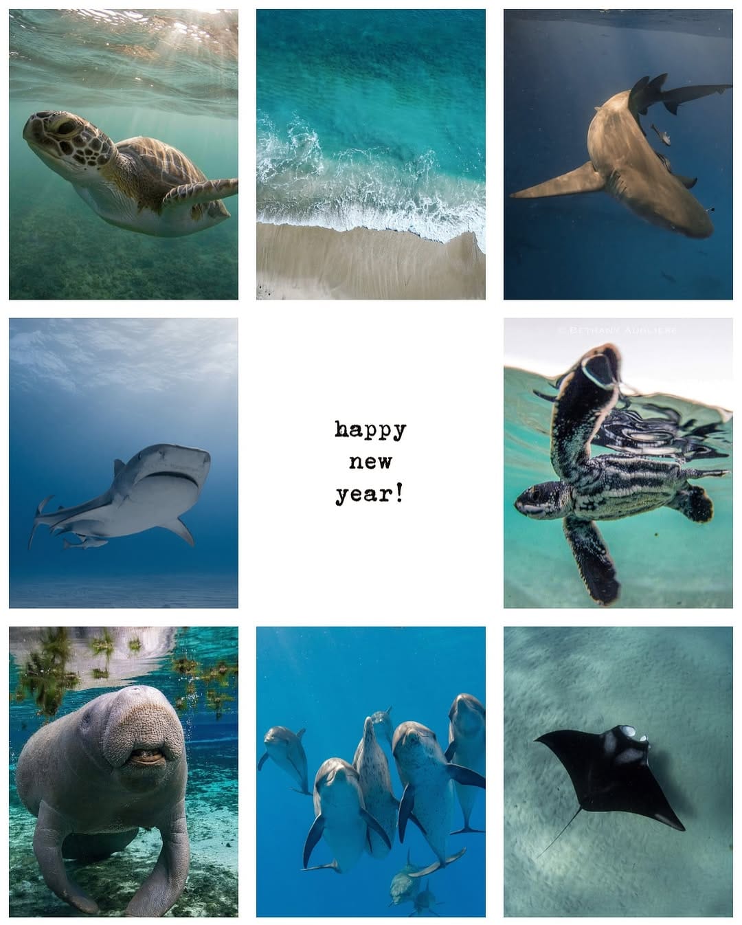 Post 6 by Ocean Bethany 🐬 on Instagram (image)