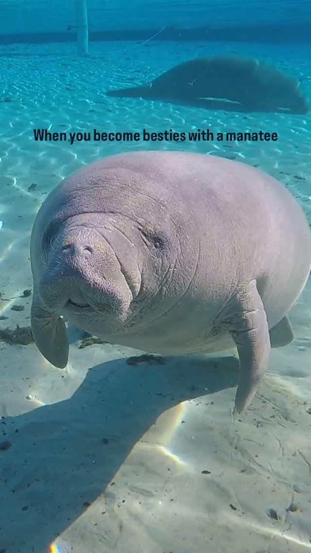 Post 9 by Ocean Bethany 🐬 on Instagram (video)