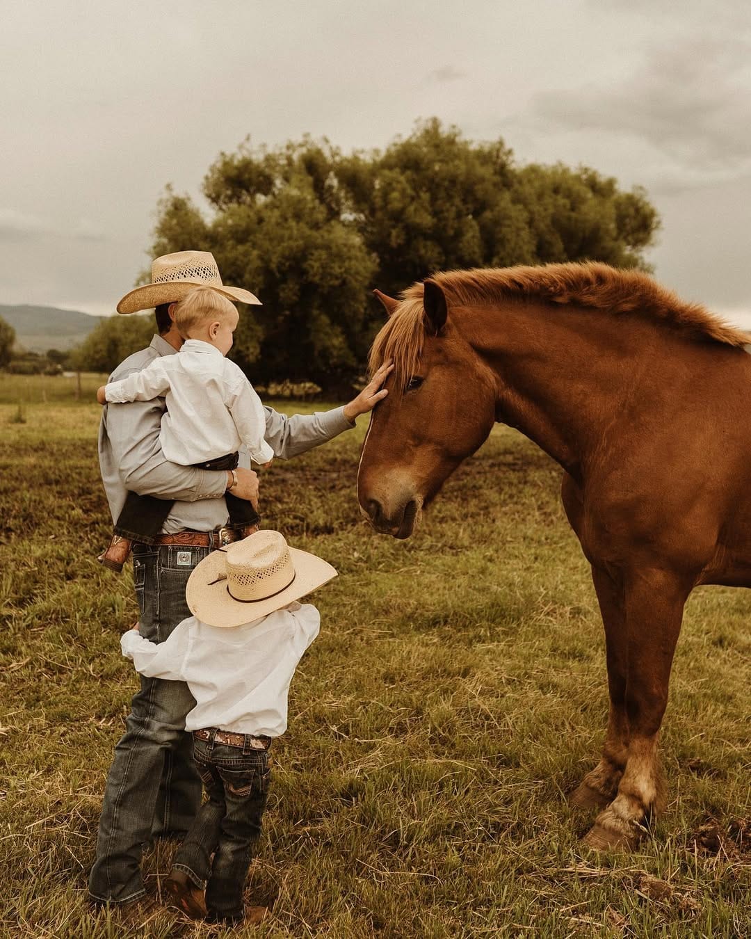 Post 4 by wild sage photo co. on Instagram (image)