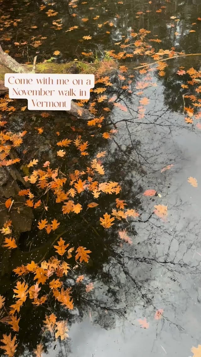Post 9 by Tara Schatz: Northeast US Travel and beyond on Instagram (video)