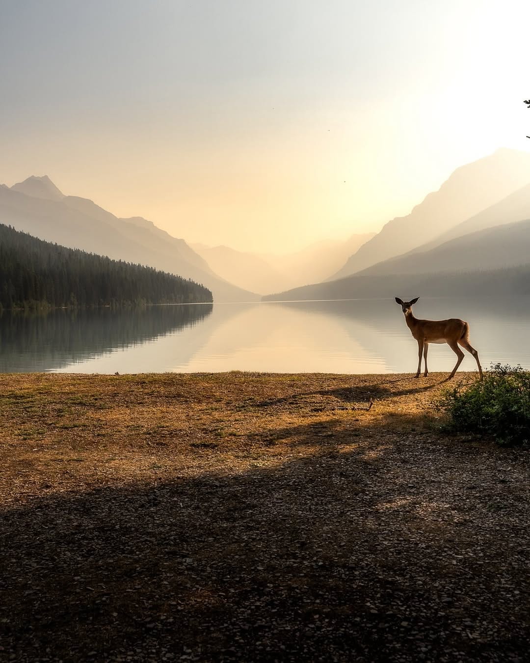 Post 9 by Dan Linden on Instagram (image)
