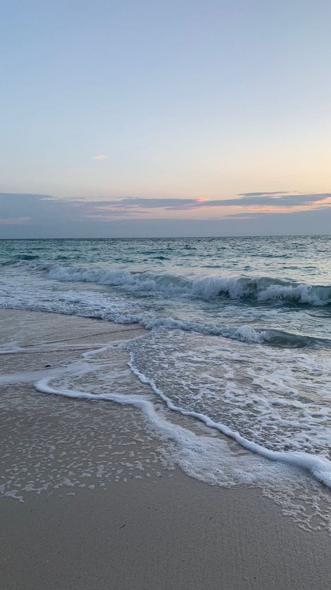 Post 3 by Em 🌸| florida lifestyle on Instagram (video)