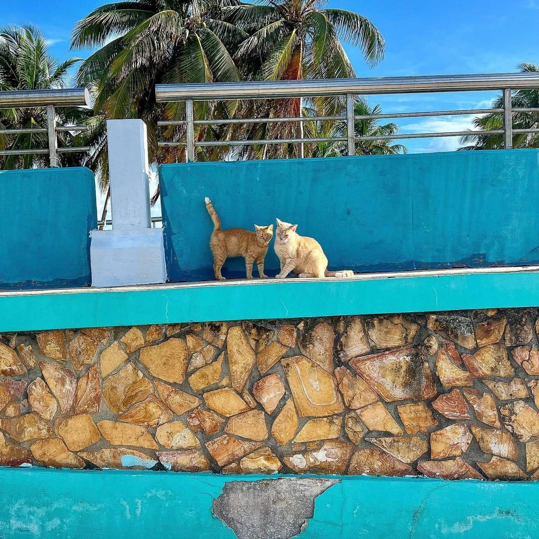 Post 10 by Brianne | A Traveling Life on Instagram (image)