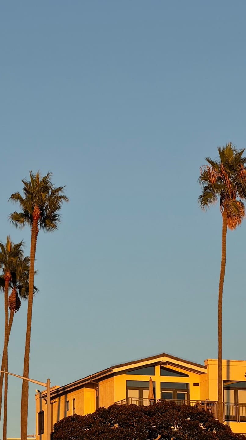 Post 3 by SARA M MACHOLZ on Instagram (video)