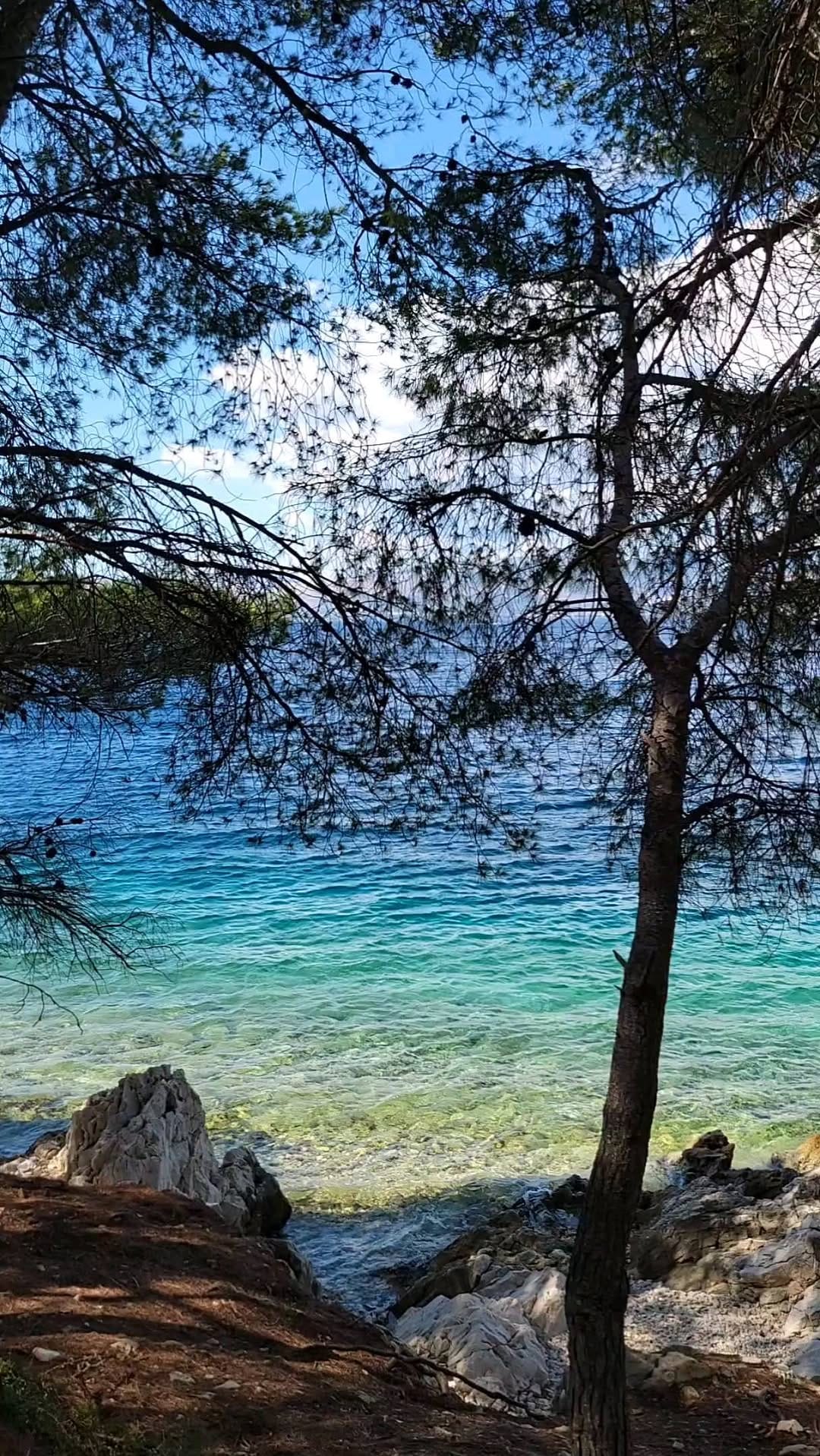 Post 7 by Drea | Canadian Traveller on Instagram (video)
