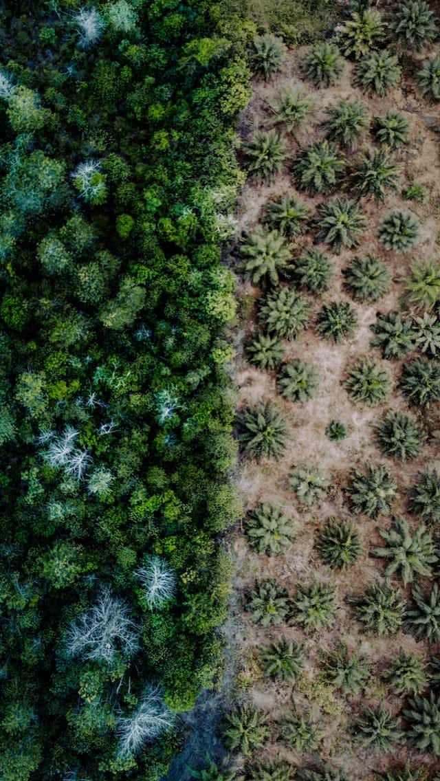Post 1 by Awi Deskabelly | Indonesian Photographer on Instagram (video)