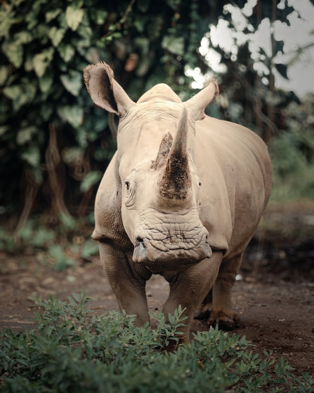 Post 6 by Awi Deskabelly | Indonesian Photographer on Instagram (carousel)